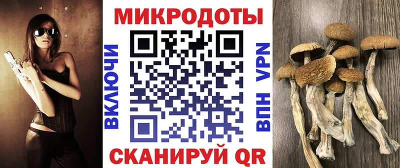 ссылка на мегу сайт  продажа наркотиков  Кыштым  Галлюциногенные грибы ЛСД 